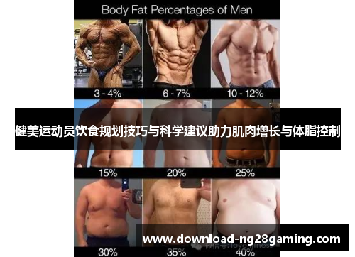健美运动员饮食规划技巧与科学建议助力肌肉增长与体脂控制