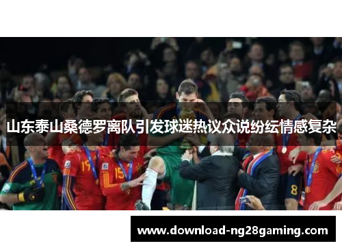 山东泰山桑德罗离队引发球迷热议众说纷纭情感复杂