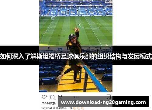如何深入了解斯坦福桥足球俱乐部的组织结构与发展模式