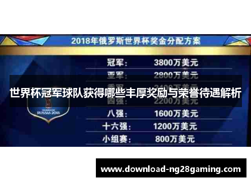 世界杯冠军球队获得哪些丰厚奖励与荣誉待遇解析