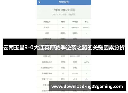 云南玉昆3-0大连英博赛季逆袭之路的关键因素分析