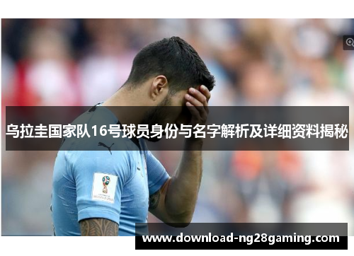 乌拉圭国家队16号球员身份与名字解析及详细资料揭秘