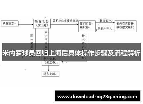 米内罗球员回归上海后具体操作步骤及流程解析