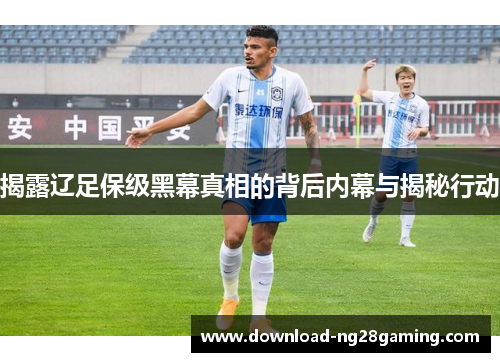 揭露辽足保级黑幕真相的背后内幕与揭秘行动 揭露辽足保级黑幕真相的背后内幕与揭秘行动