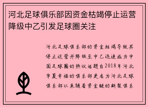 河北足球俱乐部因资金枯竭停止运营降级中乙引发足球圈关注 河北足球俱乐部因资金枯竭停止运营降级中乙引发足球圈关注